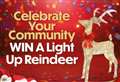 Garden centre giveaway to recognise community hero