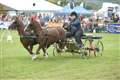 Countdown to Royal County of Berkshire Show