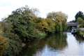 This week's My Newbury reader's photo