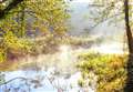 Moor Copse part of £6m wildlife restoration project