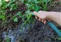 Hampshire hosepipe ban this week