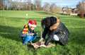 Remember loved ones at Newbury Friends of the Earth's Lockdown Woods