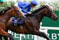 Preview and tips ahead of August Race Night at Newbury Racecourse