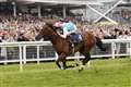 Three of the best – the leading Al Shaqab Lockinge winners of the new millenium