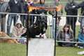 New dog show held in Chieveley today (Saturday)