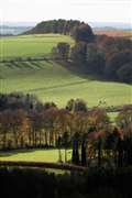 Autumn Sun