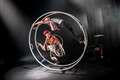 Meet Quimera; and the choreographer behind the show