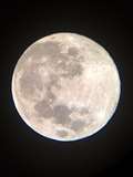 Pink Super Moon gallery of photographs from West Berkshire stargazers, including 11-year-old from Bradfield Southend 