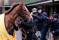 Not So Sleepy is set for top prize