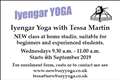 Iyengar Yoga
