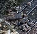 Investigation launched into Froxfield train collision 