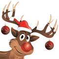 Where's Rudolph?