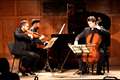 Classical music trio wows Hungerford