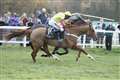 Blaklion has “the right sort of profile” as field of 20 set to go to post for 60th Hennessy Gold Cup at Newbury on Saturday