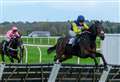 What’s it like to ride at Cheltenham?: ‘It feels like every blade of grass is fought for’