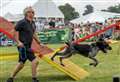 Legendary dog trainer retires