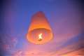 Council backs campaign to ban sky lanterns