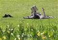 Health warning ahead of weekend heatwave
