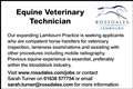 Equine Veterinary Technician/Administrator (Lambourn)