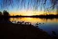 Beautiful sunset in this week's My Newbury