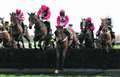 Jumping to it for winter festival at racecourse