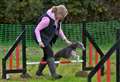 Nature Discovery Centre enjoys a dog day for Wildlife Trust
