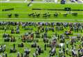 Lambourn runners prepare for Hungerford Stakes