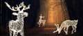 Thatcham Christmas lights to be switched on tomorrow (Friday)