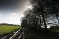 Anti-Sandleford petitions approach 16,000 signatures