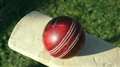 Springbok bowls and bats into Hungerford