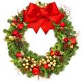 Amnesty offered to "mean spirited" Christmas wreath thief