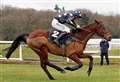 Newbury Racecourse holds BetVictor Christmas Raceday