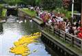 Here’s how to sponsor a swimmer in this year’s Newbury Duck Race