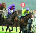 Family Raceday the highlight of bumper weekend of Sport 
