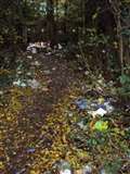 Litter louts are spoiling village