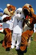 Thatcham fun day cancelled but organisers hope to re-schedule