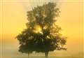 Submissions invited to New Beginnings community exhibition