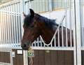 Stable Talk: A morning with Andrew Balding