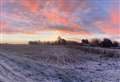 Winter wonderland
