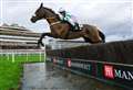 Racecourse named seventh most loved in British Isles