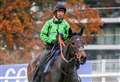 Nicky Henderson's superstar Constitution Hill on course for Kempton Park Christmas cracker