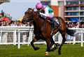 Balding cleans up as Flat returns at Newbury Racecourse