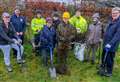 Hundreds of hedges planted