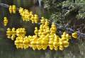 The Aldermaston and Wasing Show returns this weekend