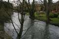 Canoeists angered after tree felling causes slalom pole loss