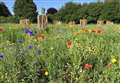 Blue and Green shall be seen – with wild flowers in between