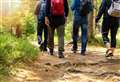 Walking tops favourite activity list