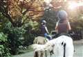 Riding charity hosting 5k to raise money for outdoor arena