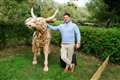 Richie brings his flair to pub food at refurbished Bull Inn