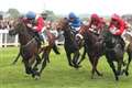 Eight remain in DDF Mill Reef Stakes